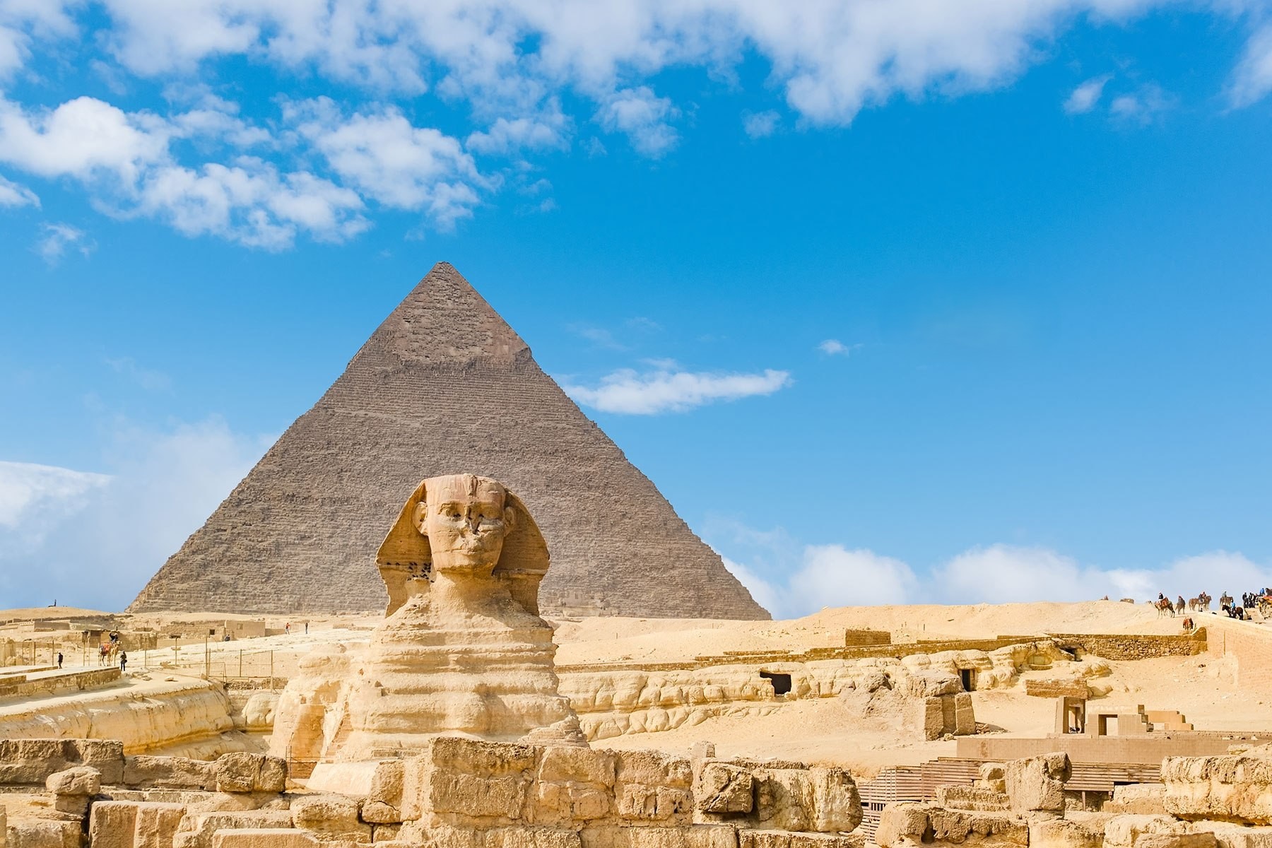 Cairo 8
